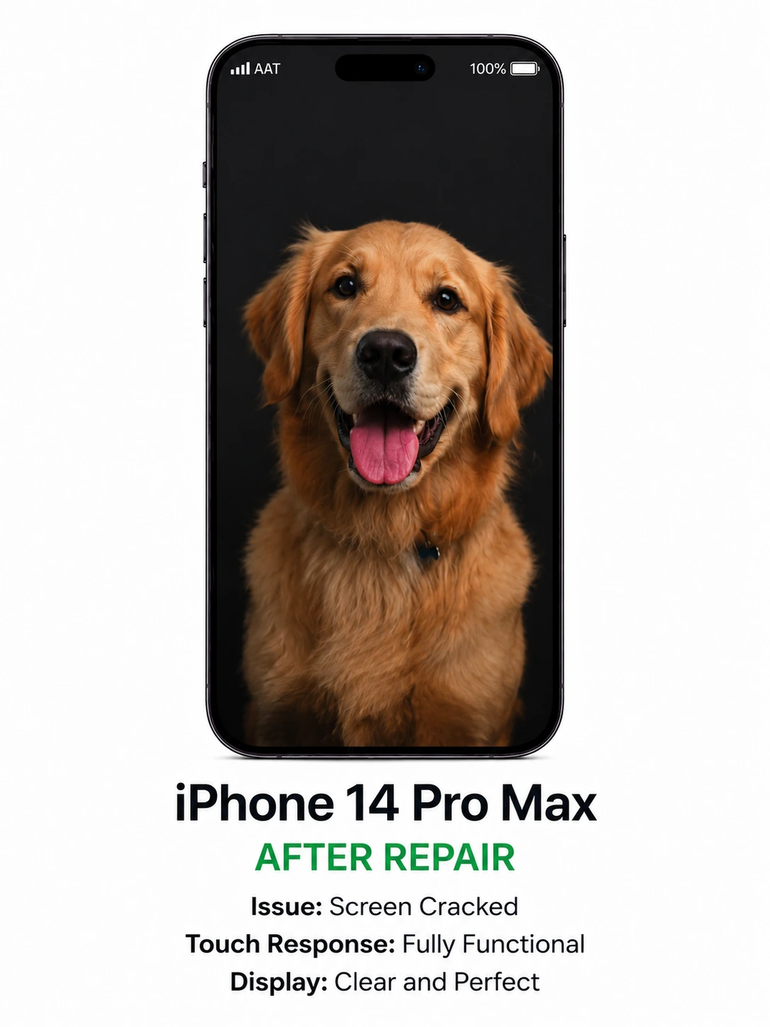 14 Pro Max Screen Repair after